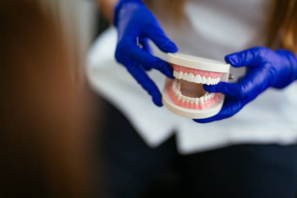 Best Periodontal (Gum) Disease Treatment  in South Daytona, FL